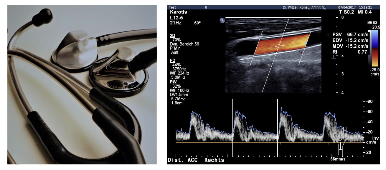 Kardiologie